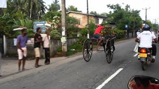 Thirikkal race 2015 kolomthotA [upl. by Isac]