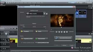 Magix Video Deluxe Lección 11 [upl. by Havard165]