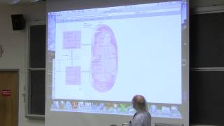 31 Biochemistry Lecture LipidFat Metabolism I from Kevin Aherns BB 350 [upl. by Iur480]