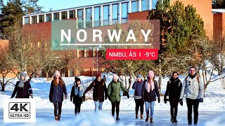 Heavy Snowfall Walk Around a Norwegian University NMBU  Winter Sounds Students amp Birds l 4K [upl. by Annairba]