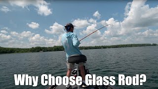 Why Choose Glass Rod [upl. by Rovaert]