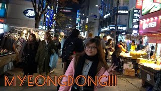 Last day in Korea  Hyundai Cruise Myeongdong Bukchon Hanok Village amp Dongdaemun  Lea Castillo [upl. by Haveman]