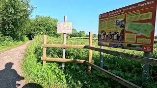 Trek fat bike Glastonbury to Ham wall amp Avalon Marshes 2024 [upl. by Oeram995]