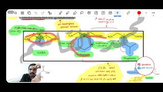 مرحلة رابعة  Org chemistry  Anticonvulsant Drugs Part 2 [upl. by Zipnick]