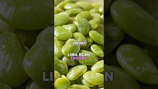 LIMA BEAN THEORY 🫘 [upl. by Aisauqal907]