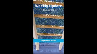 Weekly Update Dependent on God [upl. by Donall591]