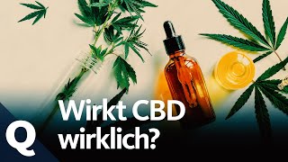 CBD Lifestyleprodukt oder Allheilmittel  Quarks [upl. by Aicilec]