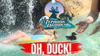 Is Typhoon Lagoon Worth the Trip [upl. by Benedetta877]