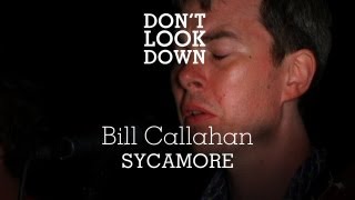 Bill Callahan  Sycamore  Dont Look Down [upl. by Beulah]