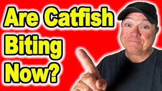 Is Now a Bad Time to Catch Catfish [upl. by Leroy]