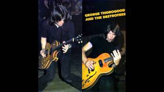 George Thorogood and the Destroyers  Kind Hearted Woman [upl. by Carr]