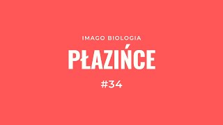 Płazińce [upl. by Rednazxela]