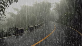 Lluvia Relajante Para Dormir y Descansar Profundamente en 5 minutos 💤 Lluvia en el Bosque Brumoso [upl. by Atnom]