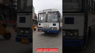 PILERU  NELLORE 2ND SERVICE apsrtc pileru tirupati srikalahasti nellore rayachoti kalakada [upl. by Hedvige]