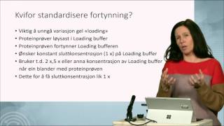 Fortynning av proteiner i loading buffer [upl. by Sumetra]