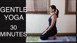 Gentle Yoga for All Levels  Seated Poses and Stretches  30 Minutes [upl. by Fachini365]