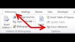 How to Insert CrossReference in Ms Word 2007 [upl. by Strawn]