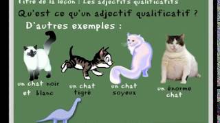 Leçon de français sur les adjectifs qualificatifs  pour les CP CE1  learn french [upl. by Martelli905]