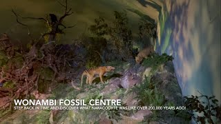 Wonambi Fossil Centre  real life size Diorama  NaracoorteCaves [upl. by Shewmaker]