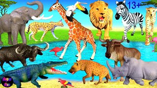 Animals Lion Cheetah Elephant Rhino Zebra Giraffe Crocodile Wildebeest Serval Hyena 13 [upl. by Charita477]