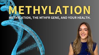 Methylation the MTHFR gene and your health [upl. by Connett]