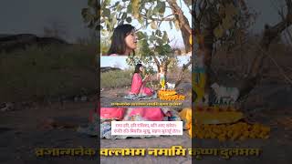 Madhuri Sharma Katare  Shorts  Part 3  Shri Krishnashtakam Bhajan shrikrishnashtakam bhakti [upl. by Atinus35]