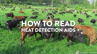 How to read heat detection aids [upl. by Rudich]