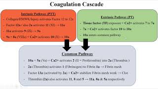 Coagulation Cascade and Disseminated Intravascular Coagulation DIC CLARIFIED [upl. by Ajat580]