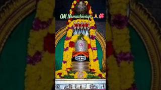 Lingastakam 🙏🌺Hara Hara Mahadeva sambo sankara 🙏God songs ytshort subscribe [upl. by Azila]