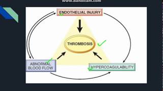 Thrombosis [upl. by Verena342]