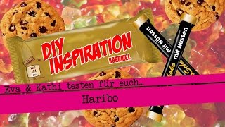 DIY Inspriration testet Haribo Neuheiten  Eva und Kathi testen Süßigkeiten  Gummitiere [upl. by Kcor943]