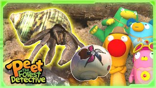 Big Mean Hermit Crab 🦀🐚  Nature Stories For Kids  Peet The Forest Detective [upl. by Sukin611]