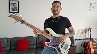 Hasta la madre  Pasabordo Bass Cover [upl. by Renae]