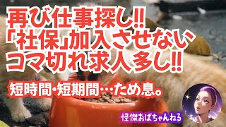 【不採用でした】社会保険加入させないコマ切れ求人多し。仕事探しどうなる？ [upl. by Meelas]