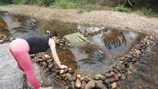 Caught a lot of fish when village girl built stone trap at the riverUnique fishing [upl. by Herwig323]