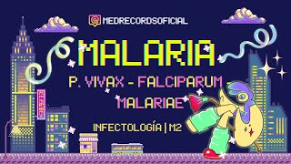 MALARIA PALUDISMO  Plasmodium vivax malariae falciparum  Clínica Diagnóstico Tratamiento  INFECTO [upl. by Eirahcaz]