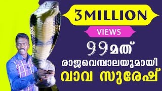 Vava Suresh Rescues 99th King Cobra  Snake Master  Thrilling Episode  Kaumudy TV [upl. by Naed]