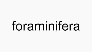 How to pronounce foraminifera [upl. by Gee]