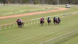 Mareeba 11052024 Race 2 [upl. by Niltiak]