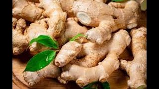 Ginger Prices Across Karnataka [upl. by Nitin]