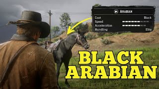 Get this rare Arabian right now  RDR2 [upl. by Inesita289]