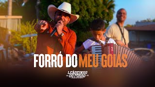 Leãozinho do Forró  Forró do Meu Goiás  Vídeo Oficial [upl. by Laius]