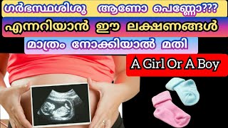 വയറ്റിലുള്ള കുട്ടി ആണോ പെണ്ണോ എന്നറിയാൻ ഈ ലക്ഷണങ്ങൾ മാത്രം നോക്കിയാൽ മതിGender Prediction Malayalam [upl. by Wilie]