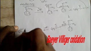 Baeyer villiger oxidation mechanism [upl. by Durant]