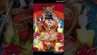 Todays Divine 4 Darshan vrindavan radhavallabh radharaman radharani bankebihari livedarshan [upl. by Aitital]