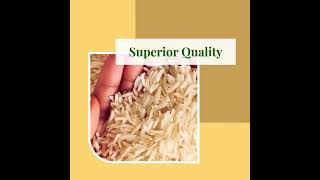 Superior Quality of Basmati Rice [upl. by Shandee]