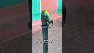 Horse hitching posts in New Orleans [upl. by Indihar]