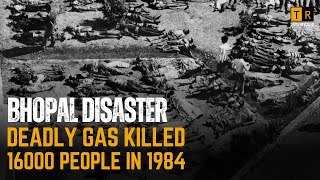 Bhopal Disaster  Deadly Gas Killed 16000 People  The Raileway Men  Explained in 3 Minutes [upl. by Jehiah]