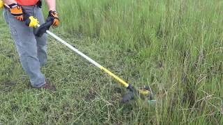 Triclone Trimmer Head on Dewalt 40V Max cutting grass  2x speed [upl. by Sissy]