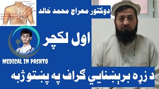 1 ECG in Pashto  Electrocardiography Dr Miraj Mohammad Khalid د زړه برېښنايي ګراف لمړي لکچر [upl. by Parsifal]